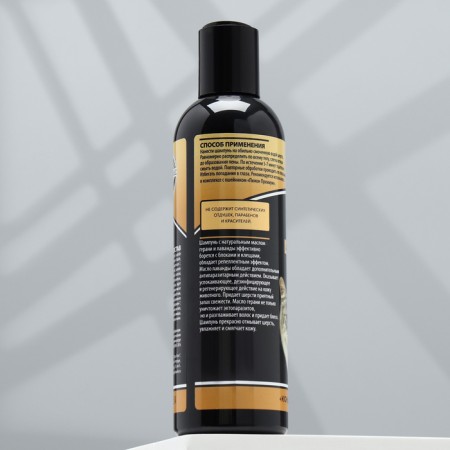 Shampoo "Phazon Premium" antiparasitar for cats and kittens double protection, 250 ml-1
