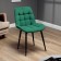 Chair president, green software