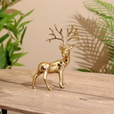 Souvenir 