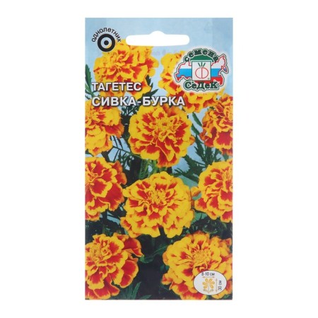 Tagetes flower seeds "Sivka-bar", 0.2 g