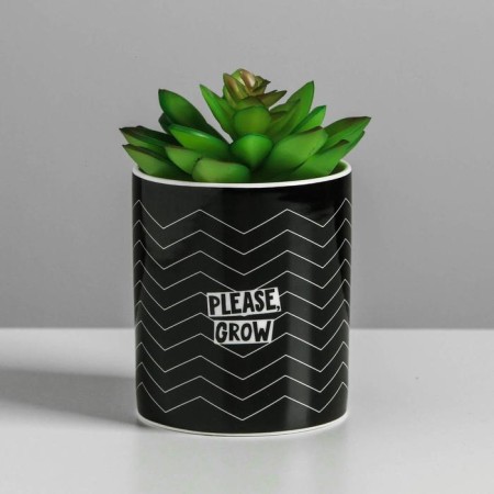 Kashpo ceramic for flowers, Please Grow pot, 8 x 9.5 cm-1