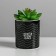 Kashpo ceramic for flowers, Please Grow pot, 8 x 9.5 cm
