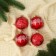 Set of balls plastic D-5.5 cm, 4 pcs "New Year's Fun" Winter Forest curls, red