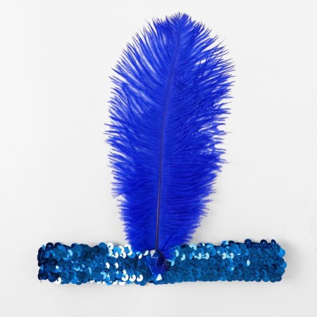 Binding on the head, with feather, blue color