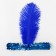 Binding on the head, with feather, blue color
