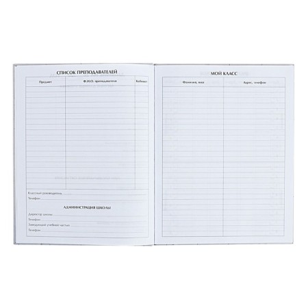 Diary for grades 5-11 "Modern Web. Anonymity", solid cover, matte lamination, selective varnish, 48 sheets-4