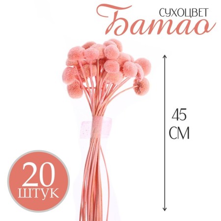 Sukhotzet "Batao" set 20 pcs., Mix color-1