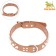 Collar "Sirius", leatherette with rivets, 56 x 3 cm, Osh 42-52, brown