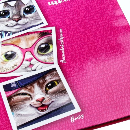Universal diary for grades 1-11, 48 Kota sheets, integral cover, glossy lamination-3
