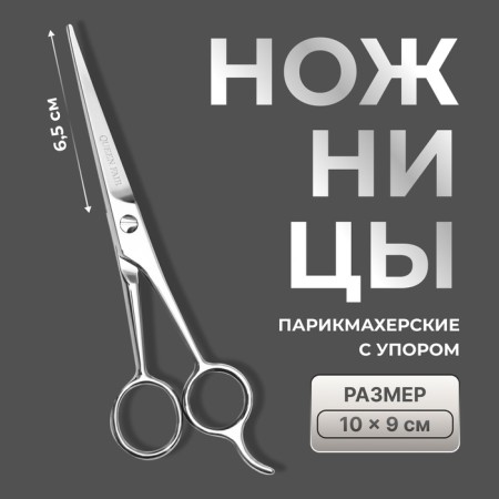 Hairdressing scissors with emphasis, blade - 6.5 cm, silver color