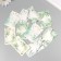 Cardboard "Flowers 06" set 10 pcs (5 types) 4x6 cm