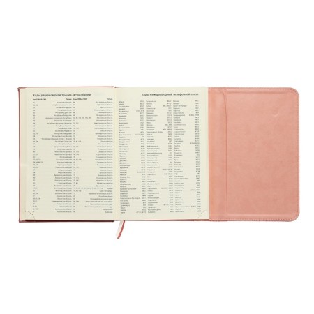 Leduced Diary A5, 160 sheets, Devente.irene, solid combined cover of artificial leather, cream block 70 g/m2, pink-8
