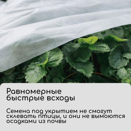 Covering material, 20 × 3.2 m, density 30 g/m², spanbond with UV stabilizer, white, Greengo, economy 30%-3
