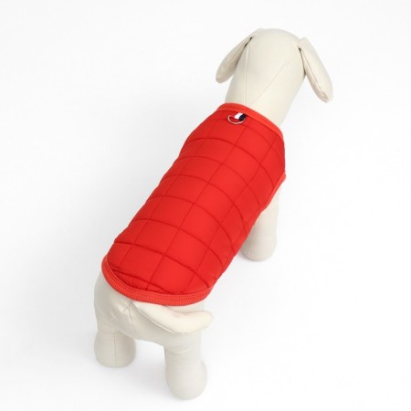 Dogs jacket "Nice", size XL (DS 38 cm, Osh 38 cm, og 48 cm), red-2