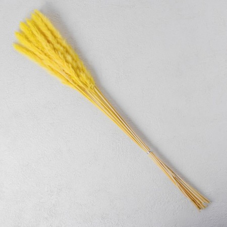 Sukhotzet "reed" set 15 pcs, yellow color-2