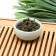 Green tea Chinese leaf oolong those guan yin a, 200 g