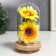 Souvenir textiles, wood, glass "Sunflower in a flask" 14.5x8.5x8.5 cm