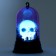Halloween lamp, species mix
