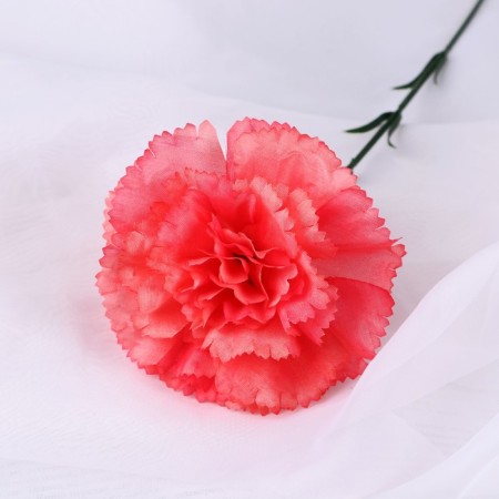 Artificial flowers "Extra Galant clove" D-8 cm 49 cm, coral-1