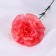 Artificial flowers "Extra Galant clove" D-8 cm 49 cm, coral