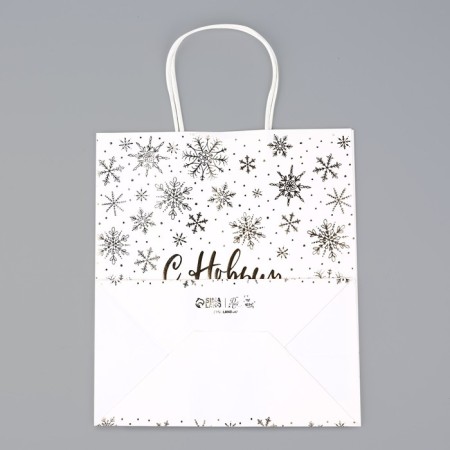Package Gift New Year's craft "Snowflakes", 22 x 25 x 12 cm, New Year-4