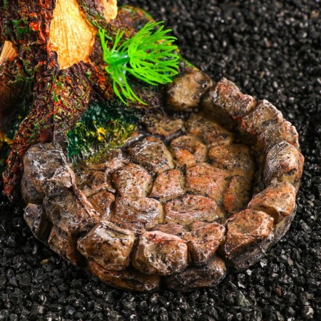 Terrarium feeder, 17.5 x 11.5 x 8.5 cm-4