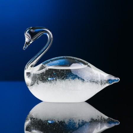 Barometer - Stormglass "Swan" 8x4cm-2