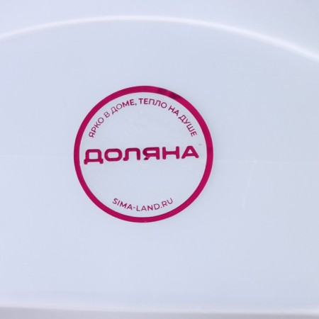 Storage container "Diplomat", 20.5 × 15 × 9.5 cm, cover with a handle on the latch, color mix-4