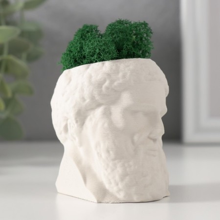 Kashpo concrete "Prometheus" height 6.5 cm, width 5 cm white with moss (moss green. Stabilizir)-3