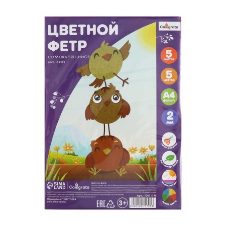 Color felt set, thick-2 mm, A4 format, soft, 5 sheets, 5 colors, bright colors-10