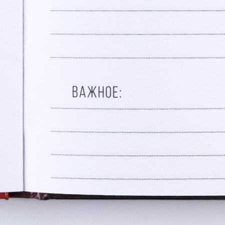 Diary "Real" A5, 80 sheets-5