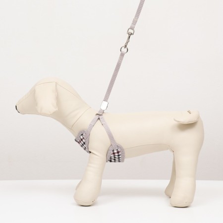 A set of ammunition with a soft harness, leash 120 x 1 cm, OG 34-58 cm, blue cage-6