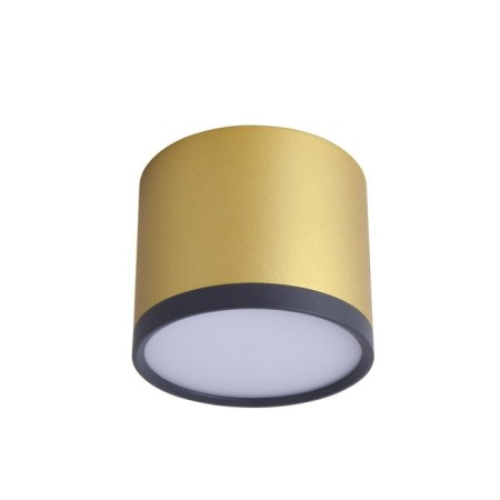 Ceiling lamp Baral 88 mm, LED 9W-1