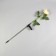 Garden lamp on the sunny battery "Rosa Yellow", 75 cm, 5 LED, glow white glow