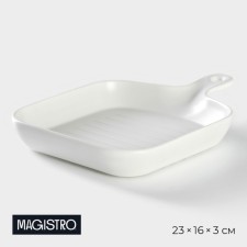 A dish of heat-resistant ceramics for feeding Magistro 