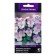 Flower seeds violet "Floral Power Wight Rose Wing", 10 pcs