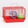 Rodent cell, equipped, 36 x 24 x 27 cm, red