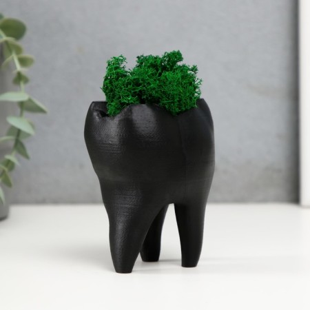 Concrete Kashpo "tooth" with moss black 7.5x6.5x9.5 cm (moss green stabilized)-3