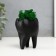 Concrete Kashpo "tooth" with moss black 7.5x6.5x9.5 cm (moss green stabilized)