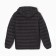 Men's jacket on the lightning collorista color black, rn 56