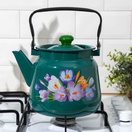 Kettle, 3.5 l, with a mix of mix, induction, turquoise color-4