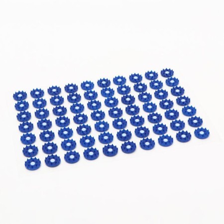 The Kuznetsova applicator, 70 thorns, film, 23 x 32 cm, blue.