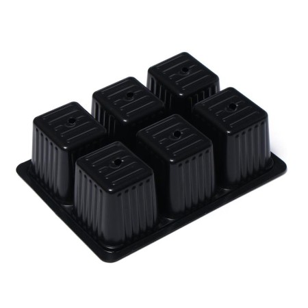 Cassette for seedlings, 6 cells, 120 ml, plastic, black, 18 × 13 × 6 cm, in a set of 10 pcs., Greengo-1