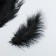 A set of feathers for creativity 30 pcs (14-17 cm), black
