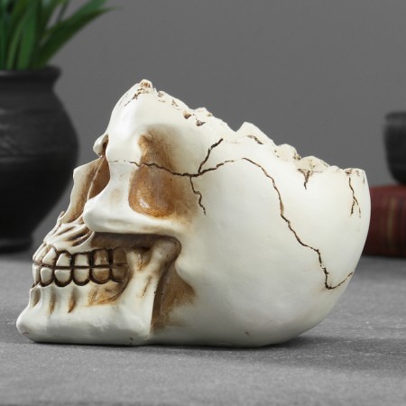Skull candy stand 14x10x11cm-1