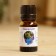 Eucalyptus essential oil, a bottle of boiler, annotation, 10 ml, disinfecting