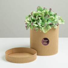 Gift Hat Athletic Microhofra, packaging, “only for you”, 15 x 15 cm