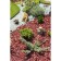 The chips are decorative, red 60l.