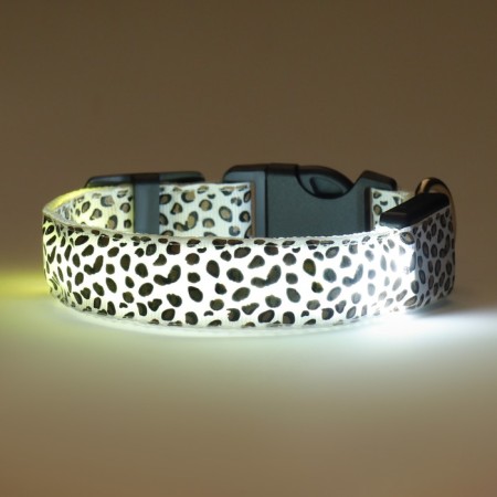 Collar with backlight Leopard 3 glow modes, size S, Osh 22-40 x 2.5 cm white-3