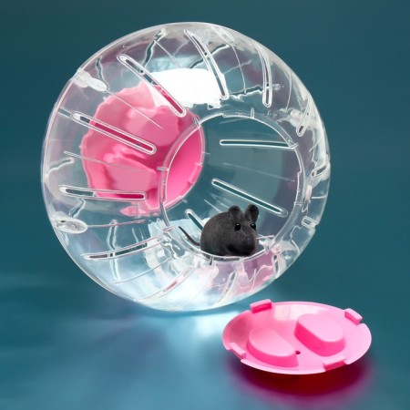 Ball for rodents Carno, 18.5 cm, pink-2